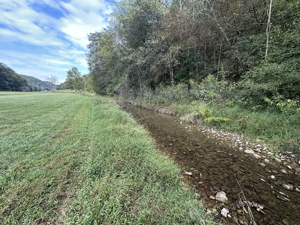 46 Carver Hollow Lane Pleasant Shade TN 37145
