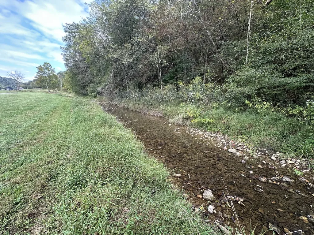 46 Carver Hollow Lane Pleasant Shade TN 37145