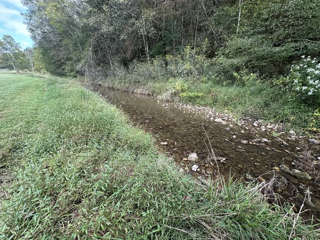 46 Carver Hollow Lane Pleasant Shade TN 37145