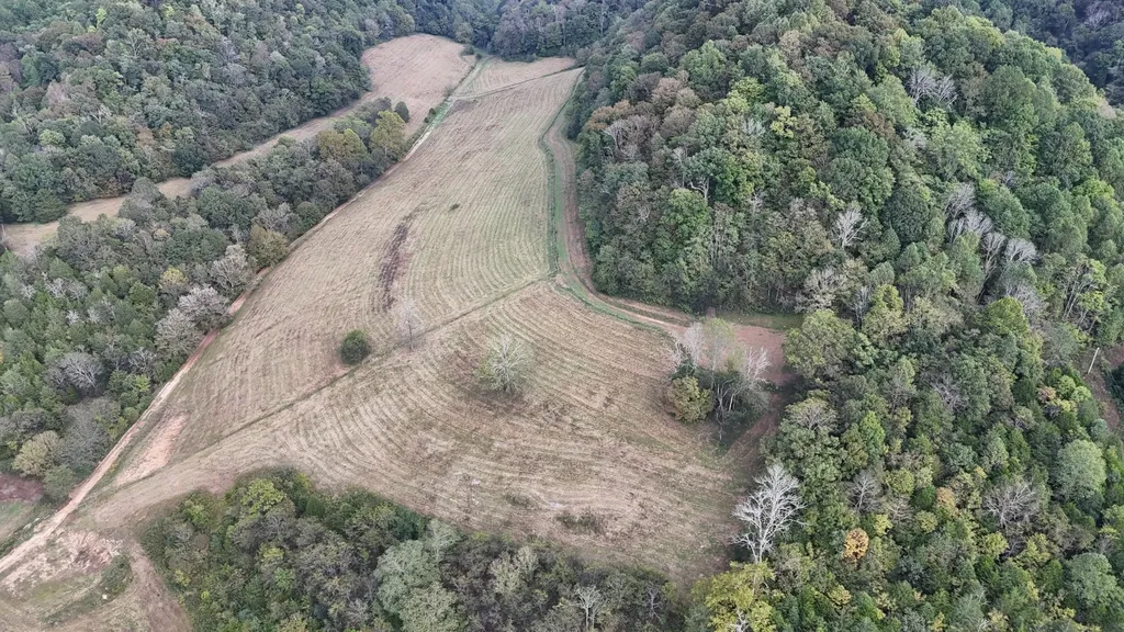 46 Carver Hollow Lane Pleasant Shade TN 37145