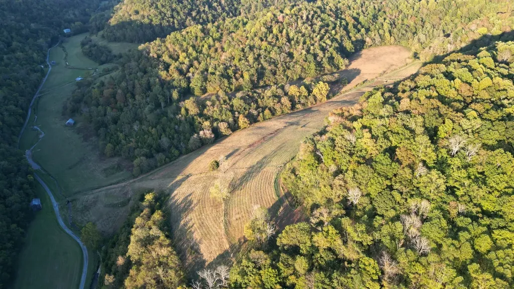 46 Carver Hollow Lane Pleasant Shade TN 37145