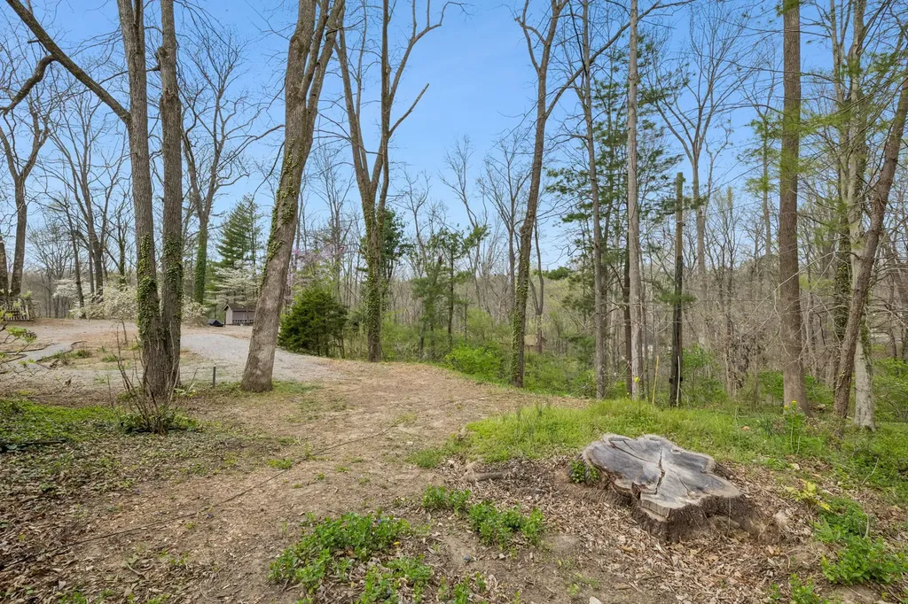 558 Chesterfield Drive Clarksville TN 37043