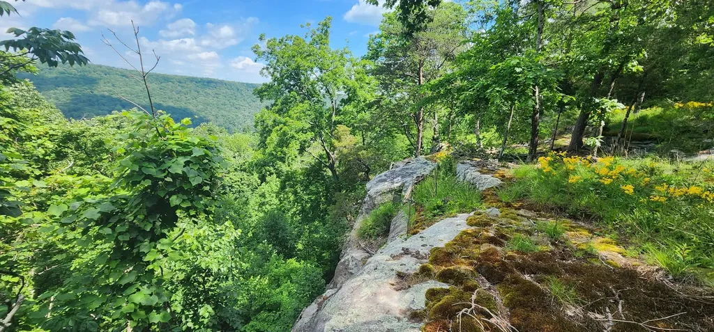 0 Roth Point Road Altamont TN 37301