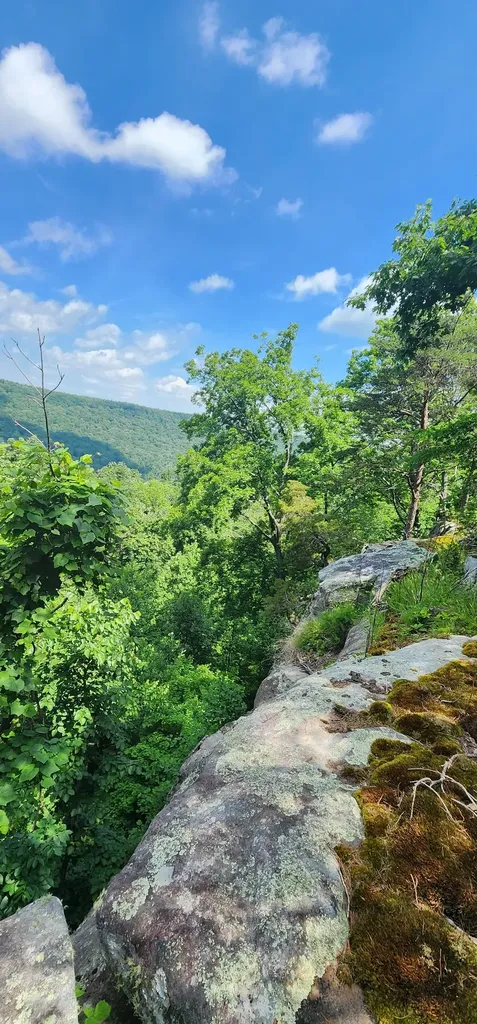 0 Roth Point Road Altamont TN 37301
