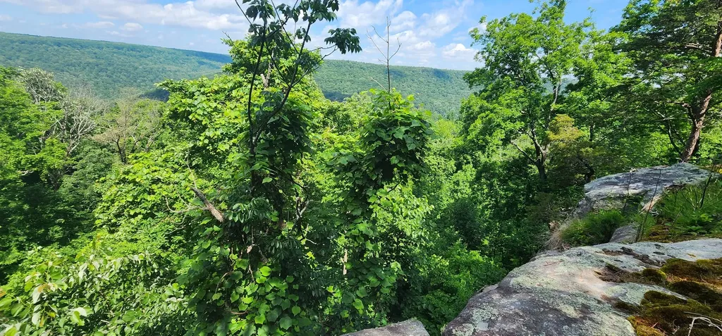 0 Roth Point Road Altamont TN 37301