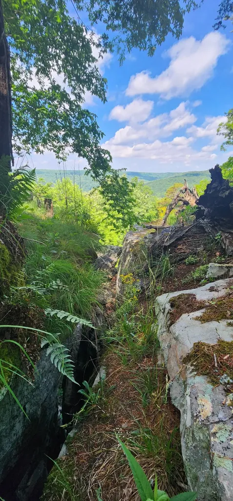 0 Roth Point Road Altamont TN 37301