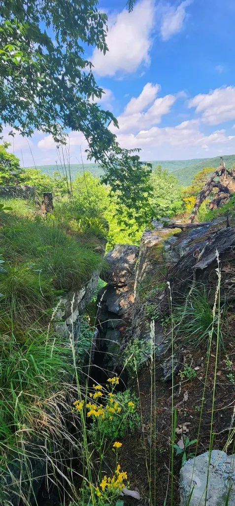 0 Roth Point Road Altamont TN 37301
