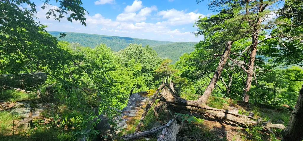 0 Roth Point Road Altamont TN 37301
