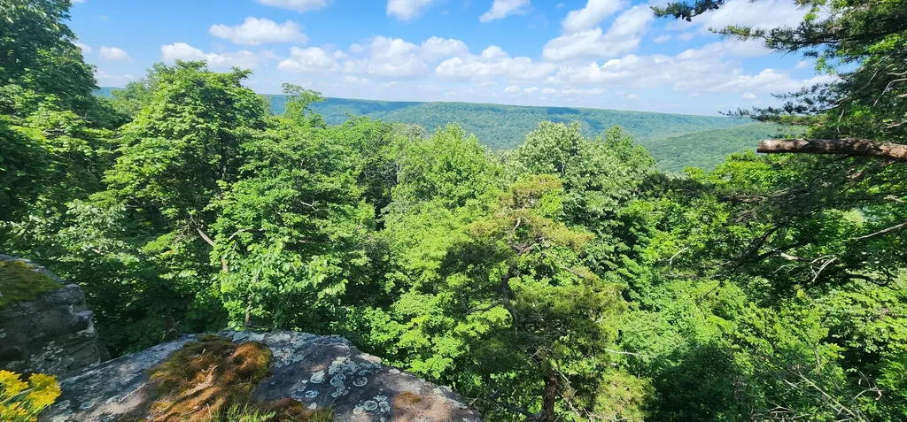 0 Roth Point Road Altamont TN 37301