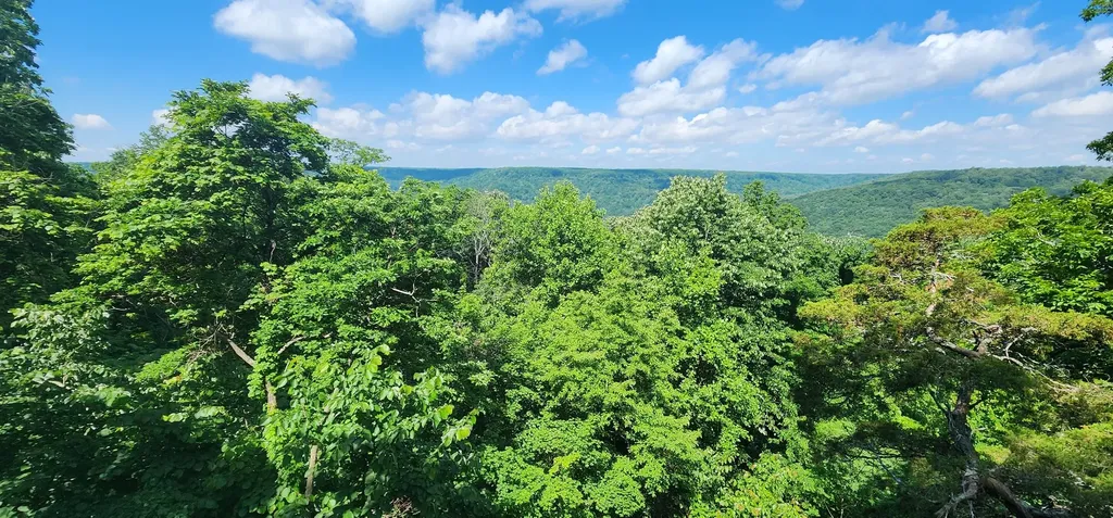 0 Roth Point Road Altamont TN 37301