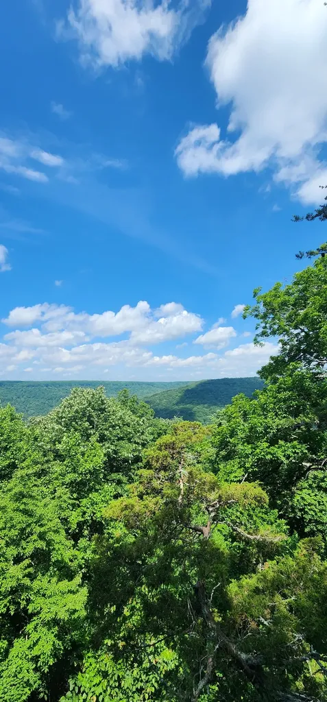 0 Roth Point Road Altamont TN 37301