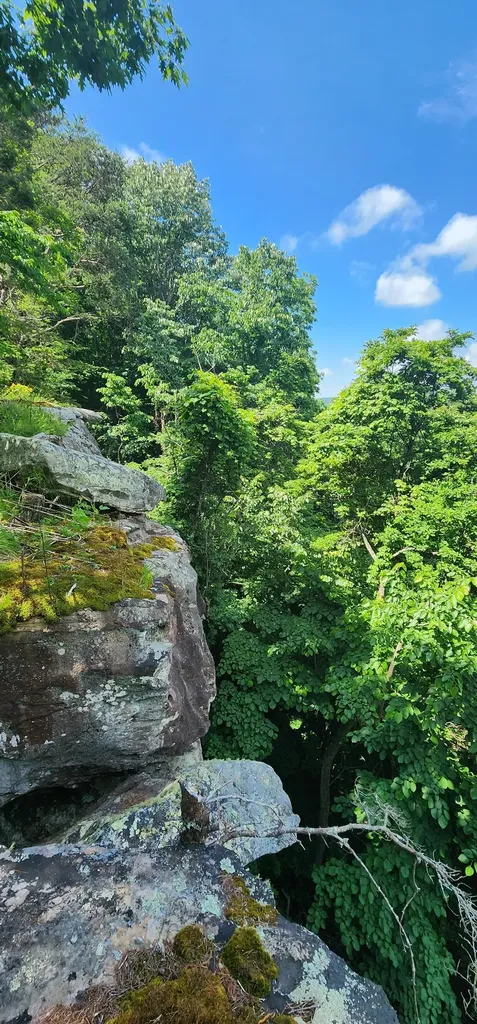 0 Roth Point Road Altamont TN 37301