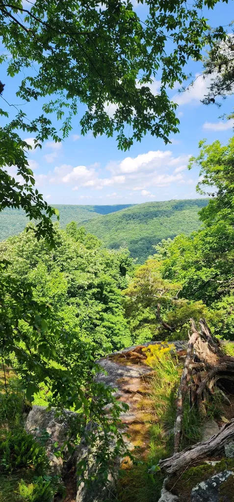 0 Roth Point Road Altamont TN 37301