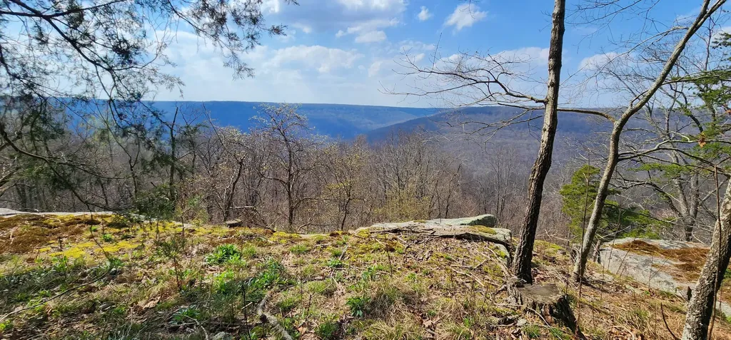 0 Roth Point Road Altamont TN 37301