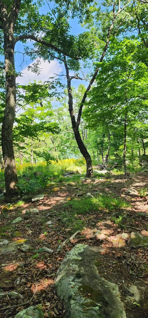 0 Roth Point Road Altamont TN 37301