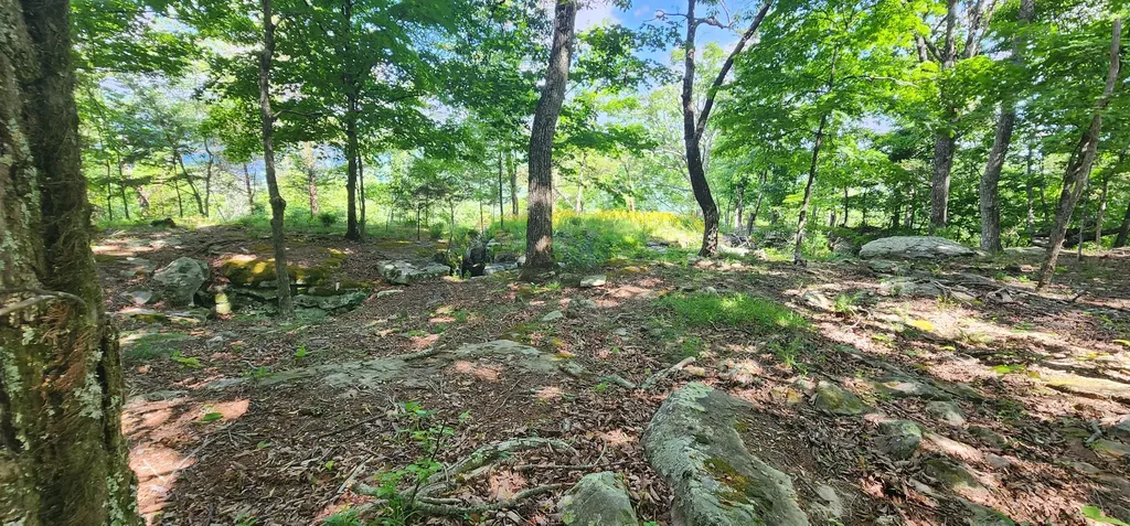 0 Roth Point Road Altamont TN 37301
