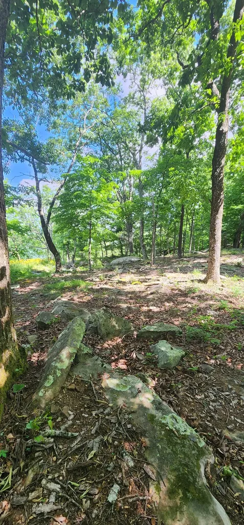 0 Roth Point Road Altamont TN 37301