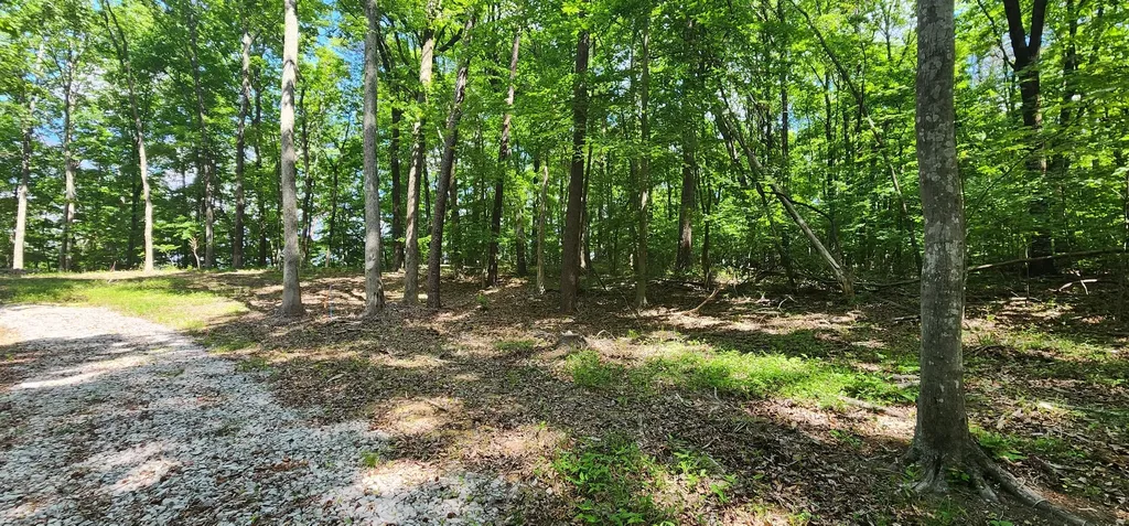 0 Roth Point Road Altamont TN 37301