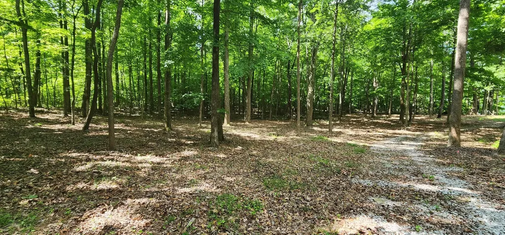 0 Roth Point Road Altamont TN 37301