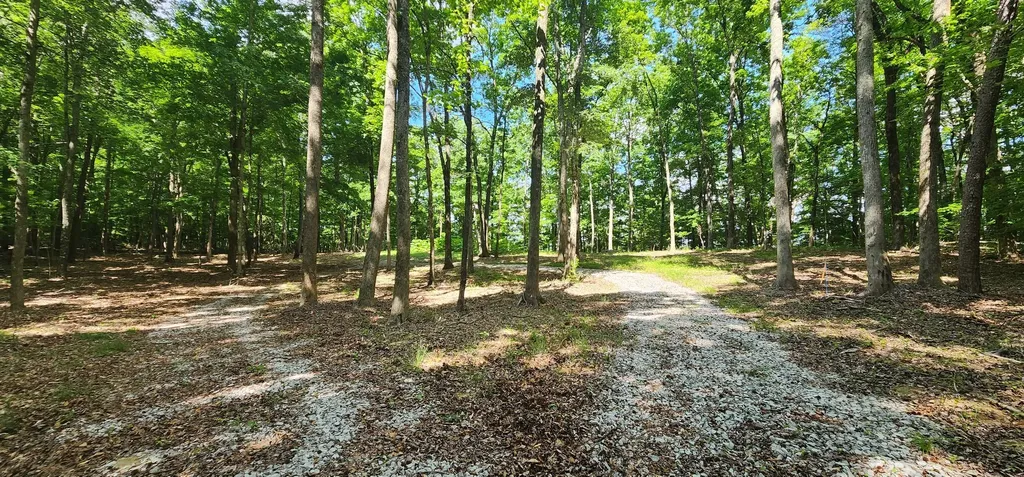 0 Roth Point Road Altamont TN 37301