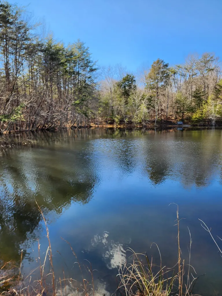 0 Roth Point Road Altamont TN 37301