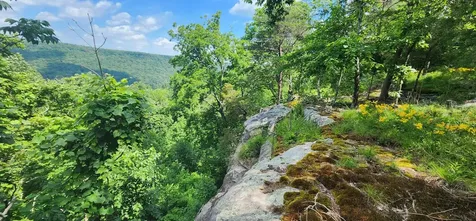 0 Roth Point Road Altamont TN 37301
