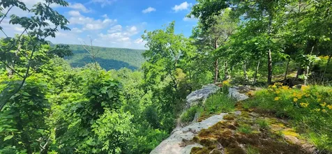 0 Roth Point Road Altamont TN 37301