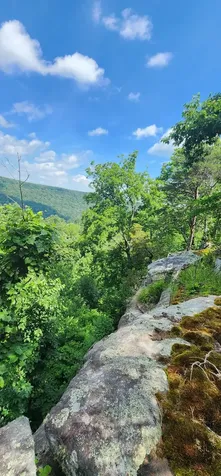 0 Roth Point Road Altamont TN 37301
