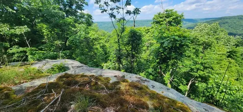 0 Roth Point Road Altamont TN 37301