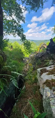 0 Roth Point Road Altamont TN 37301