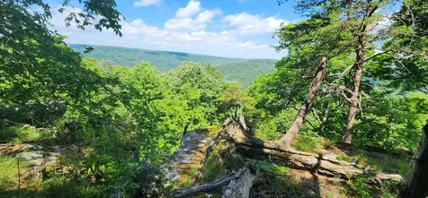 0 Roth Point Road Altamont TN 37301
