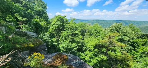 0 Roth Point Road Altamont TN 37301