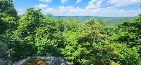 0 Roth Point Road Altamont TN 37301