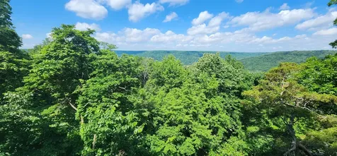 0 Roth Point Road Altamont TN 37301