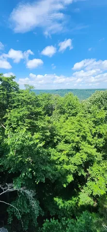 0 Roth Point Road Altamont TN 37301