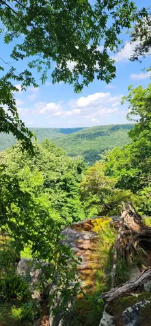 0 Roth Point Road Altamont TN 37301