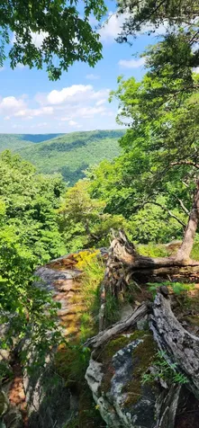 0 Roth Point Road Altamont TN 37301