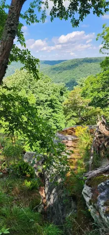 0 Roth Point Road Altamont TN 37301