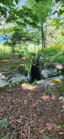 0 Roth Point Road Altamont TN 37301