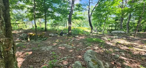 0 Roth Point Road Altamont TN 37301