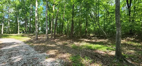 0 Roth Point Road Altamont TN 37301