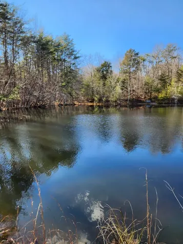 0 Roth Point Road Altamont TN 37301