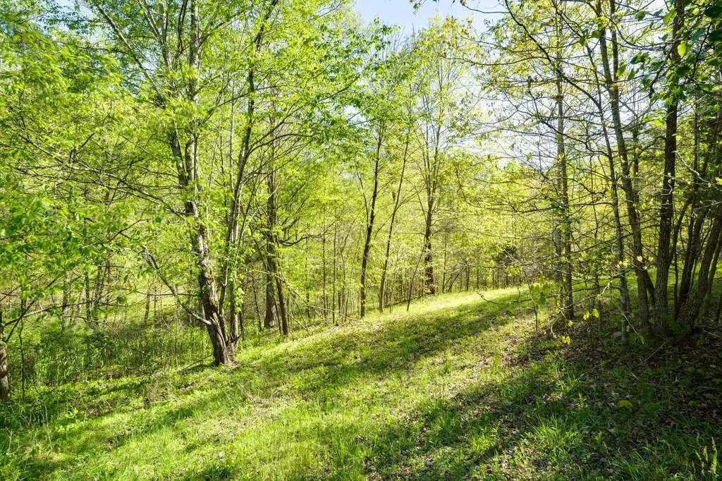 735 Keytown Road Portland TN 37148
