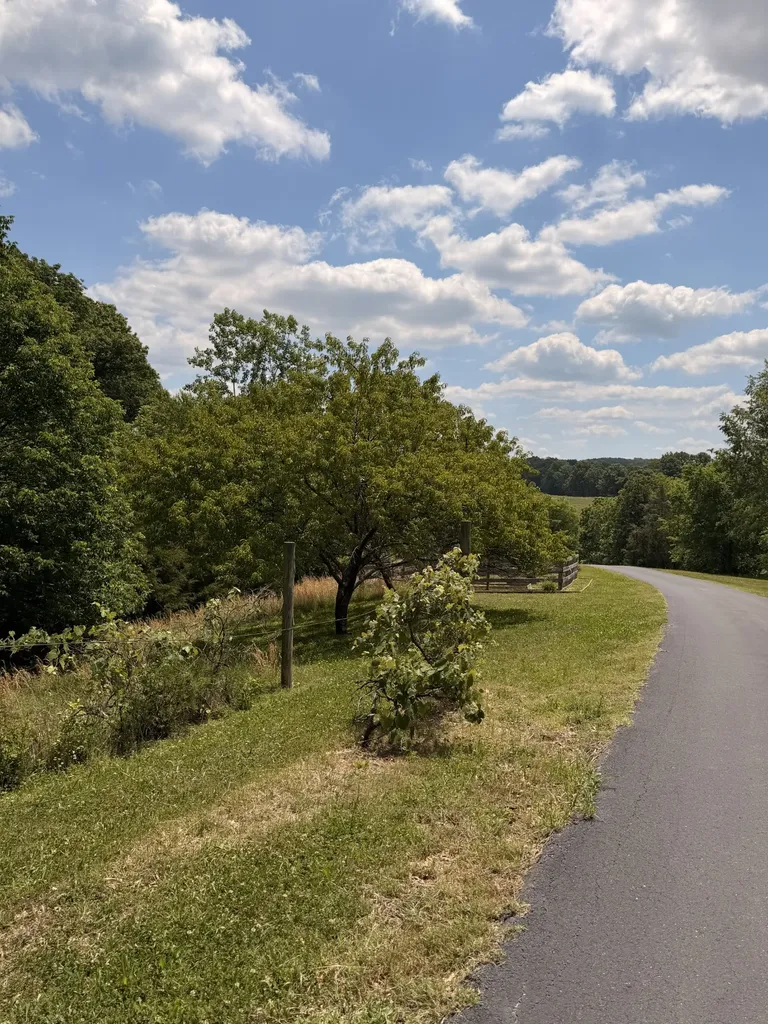 3625 Mitchell Road Lebanon TN 37087