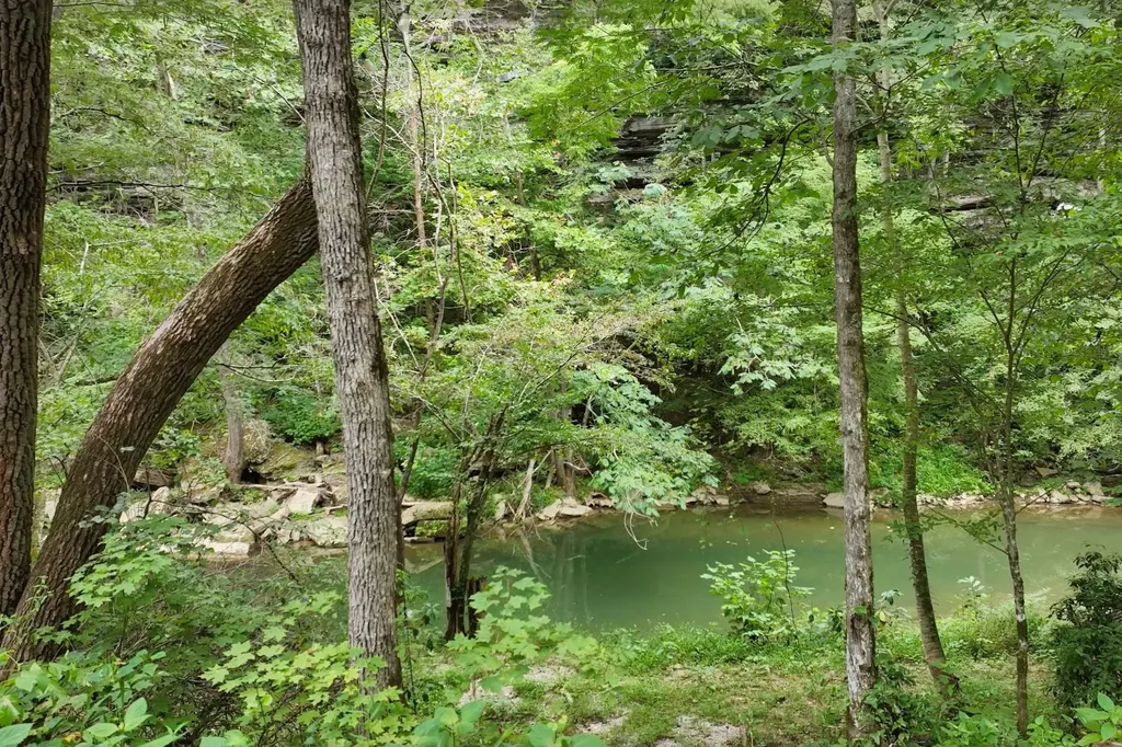1045 Jones Mill Road Smithville TN 37166