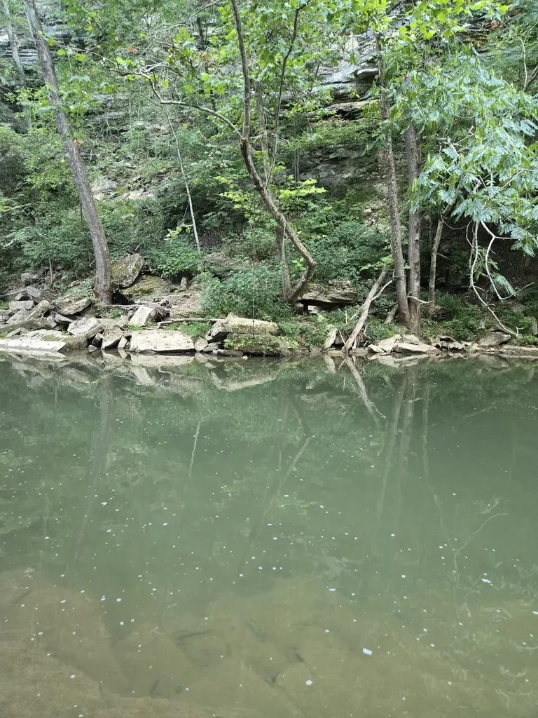 1045 Jones Mill Road Smithville TN 37166