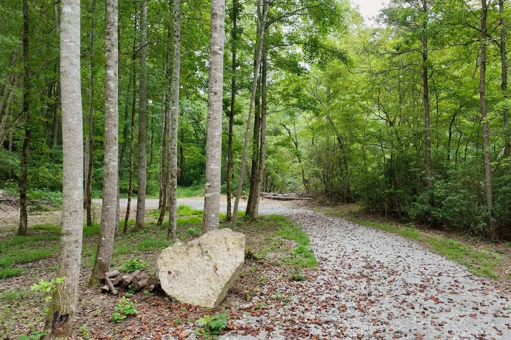 1045 Jones Mill Road Smithville TN 37166