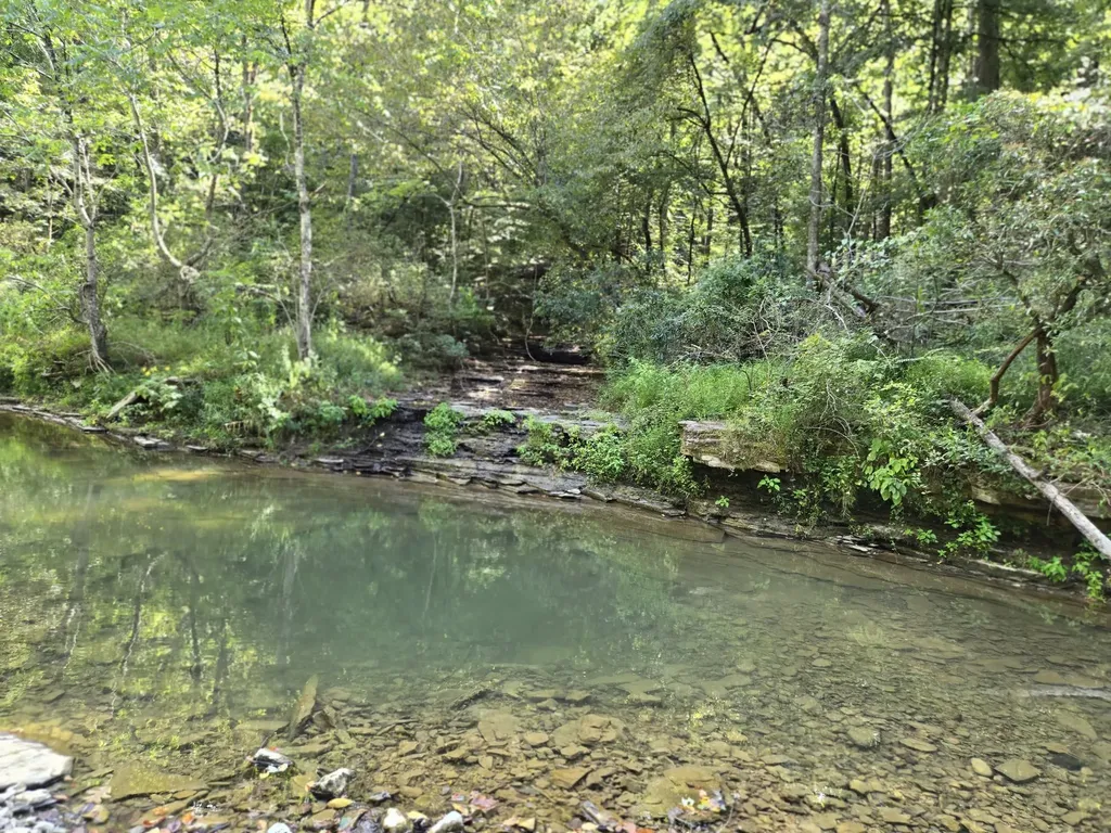 1045 Jones Mill Road Smithville TN 37166