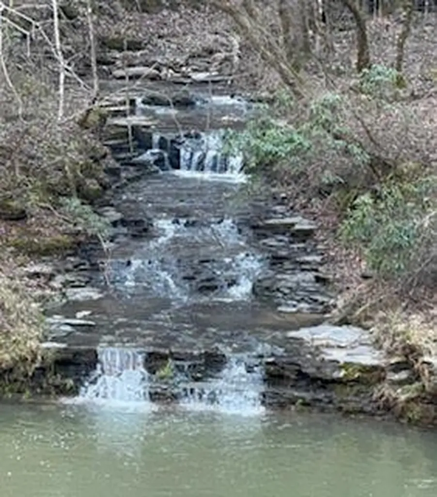 1045 Jones Mill Road Smithville TN 37166