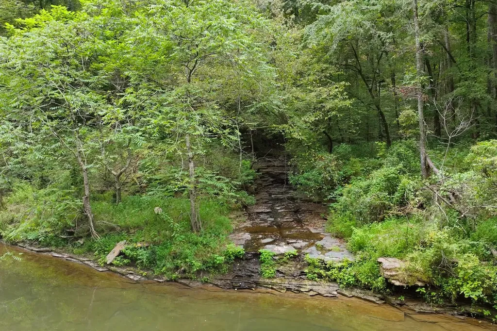 1045 Jones Mill Road Smithville TN 37166